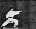 Animaciones Shotokai