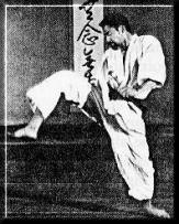 Shotokai Gallery Plate