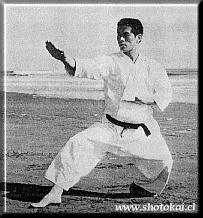 Shuto Uke in Kokutsu Dachi demonstrated by Aoki Sensei