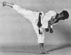 Shotokai Gallery Plate