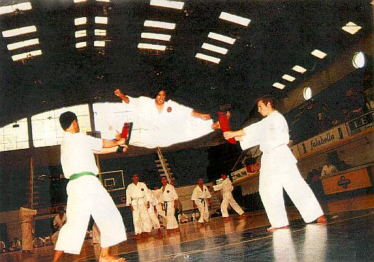 Sosoku Geri — Patada Doble