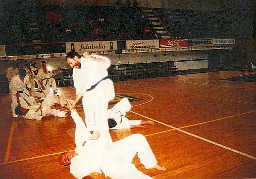 Ten Chino Kata — Tenshingoso Parte I