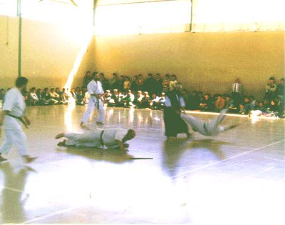 Exhibición Pública de Budo 1990