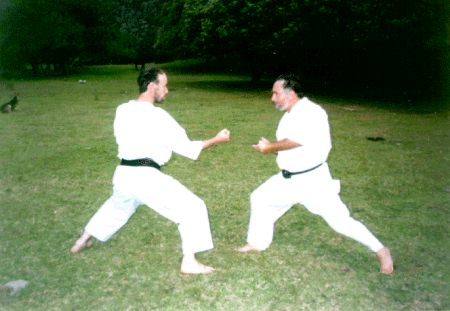 Conexión de Compañeros en Dojo