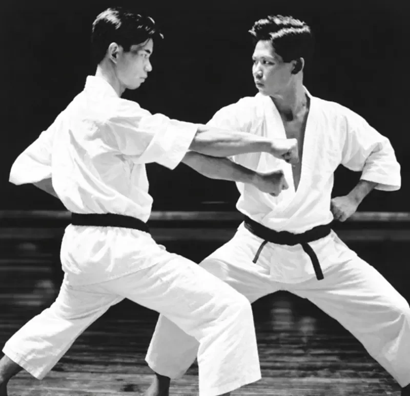 Sparring Plate 3: Low Sweeping Parry Gedan Harai vs Chudan Tsuki