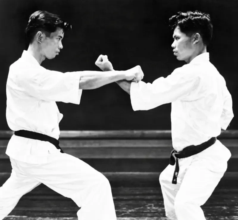 Sparring Plate 2: High Interception Jodan Age-Uke vs Oi-Zuki