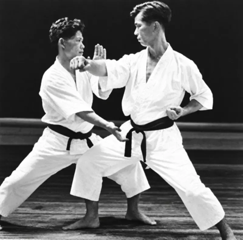 Sparring Plate 5: Knife-Hand Reception Shuto-Uke in Kokutsu-Dachi