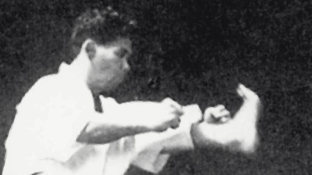 Master Yoshitaka Funakoshi dynamic high kicking innovation